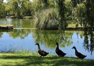 Club de Campo Mendoza | Golfové zájezdy, golfová dovolená, luxusní golf