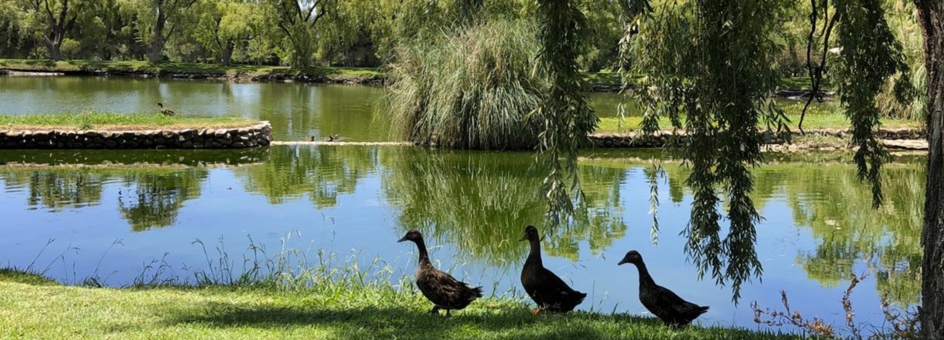 Club de Campo Mendoza  | Golfové zájezdy, golfová dovolená, luxusní golf