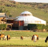 Mongolsko-Three-Camel-Lodge-4